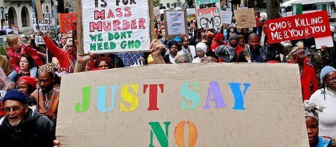 2016-05-26-1464267141-5490387-GMO-thumb.jpg