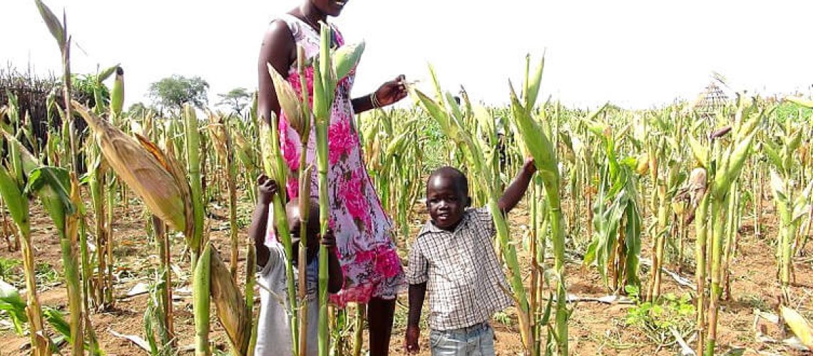 800px-Maize_farming_in_drought_areas.jpg