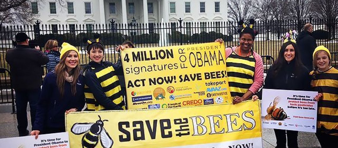 BeesObamaMAIN.jpg
