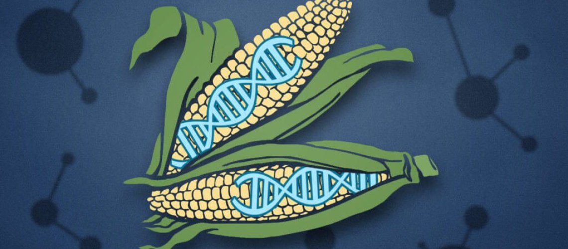 CRISPR-superplants-e1510023478641-1024x612.jpg
