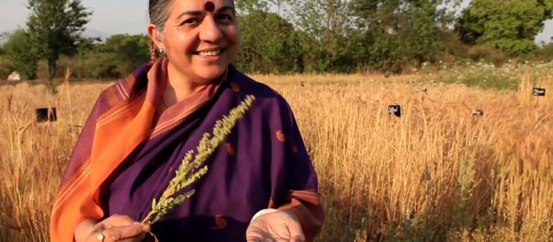 GOOD-vandana3.jpeg