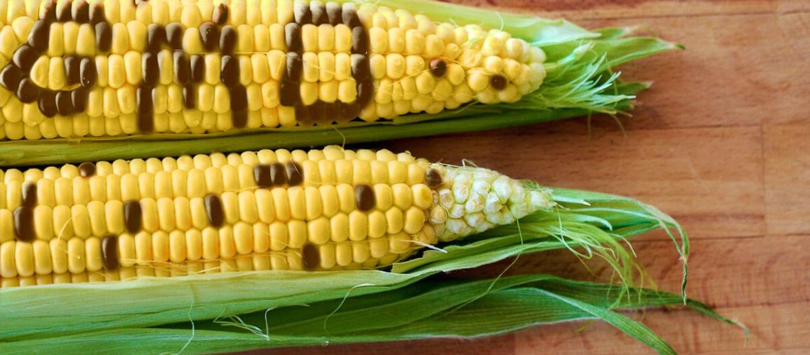 Gmo-7-24-18.jpg