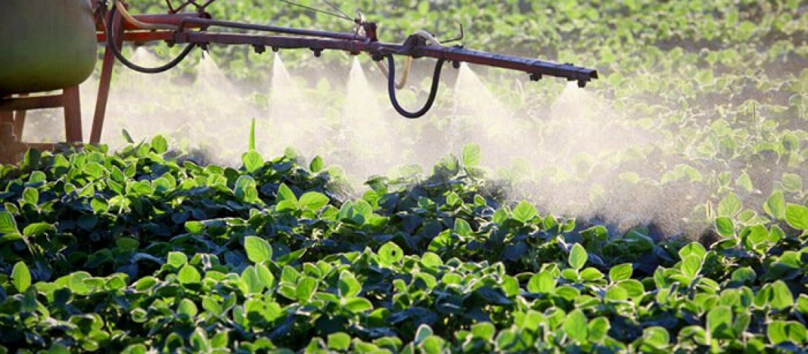 Herbicide-Plant-Spray-Crops-Poison.jpg