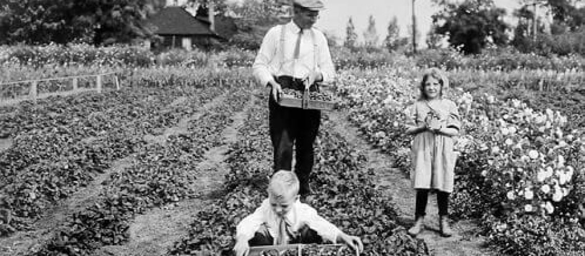 JD-Elizabeth-Ev-strawberries-courtesy-Longs-Gardens.jpg