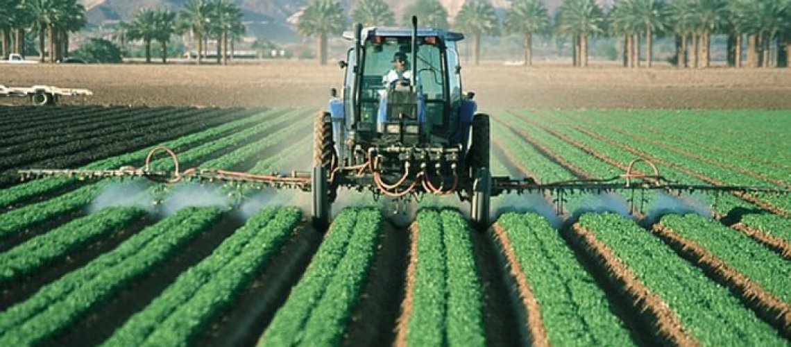 Neonicotinoids-9-25-18-1.jpg