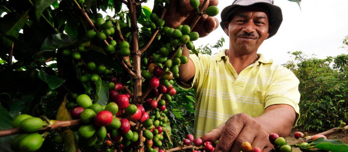 Pic-by-Neil-Palmer-CIAT.-A-coffee-farm-worker-in-Cauca-southwestern-Colombia..jpg