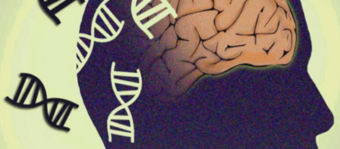 Picture1-12-405x405.png