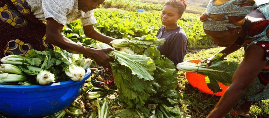 africa-agriculture-wikimedia-commons.jpg
