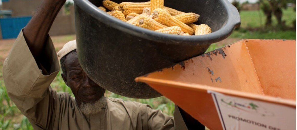 agra-pushes-small-african-farmers-to-sacrifice-food-crops-for-commercial-crops-esp-corn-.jpg