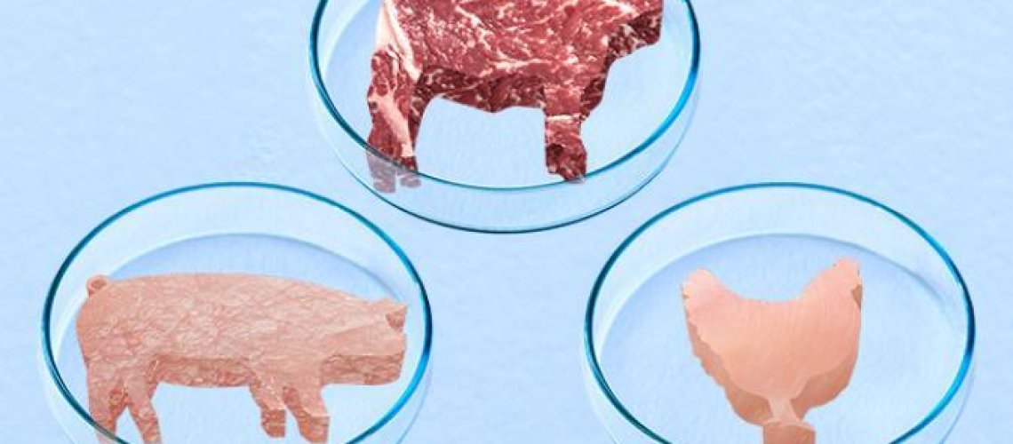 alternativemeat-illustrationbylindsey-x-.jpg