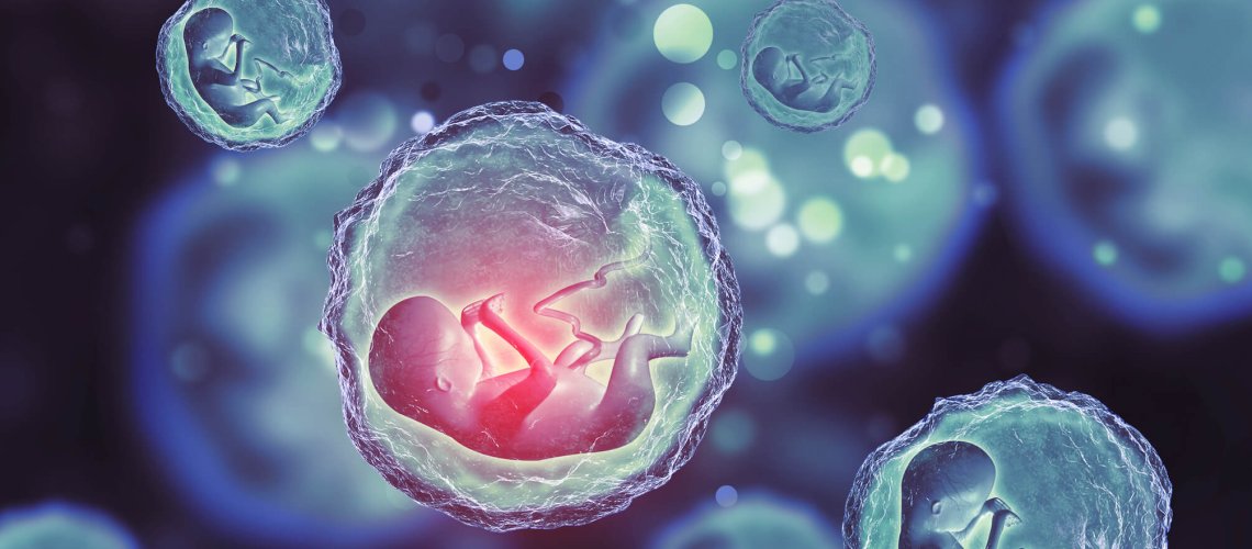 artificial-embryo-structures-show-insight-into-fetal-development.jpg