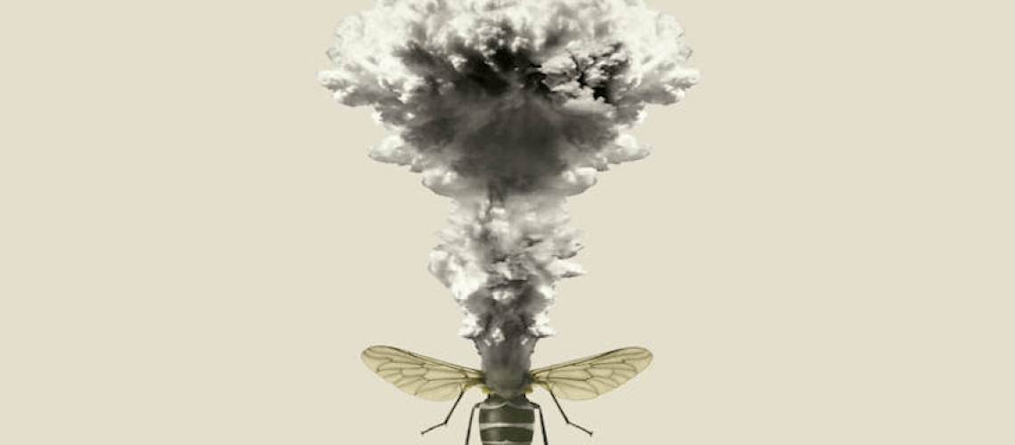 beebomb.png