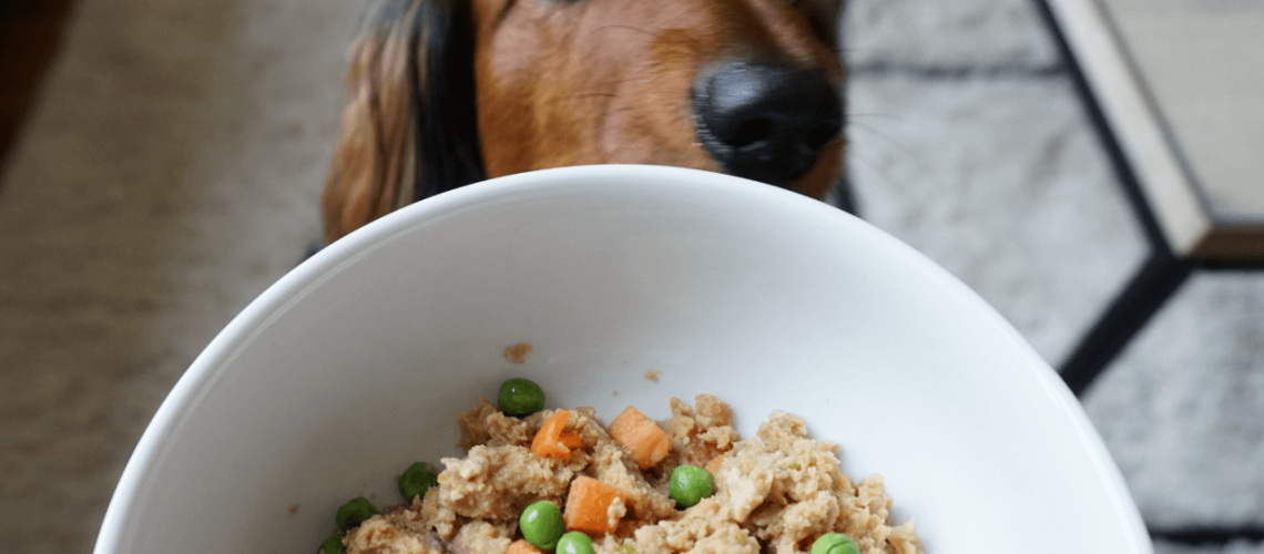 best-organic-natural-and-grain-free-dog-foods-x.png
