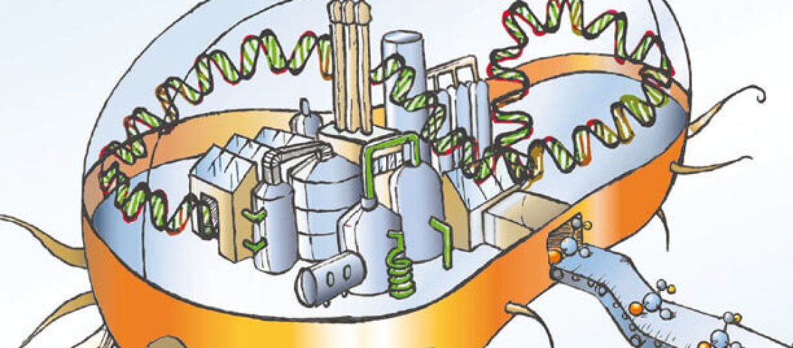 biofactory.jpg
