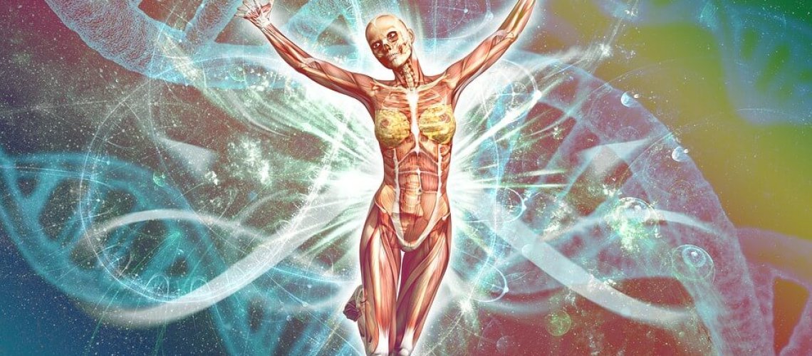 biology-genetics-physically-human-body-dna-.jpg