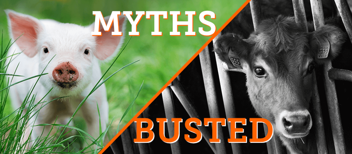 blog_six-myths-about-farming-busted_030117_main222222.png