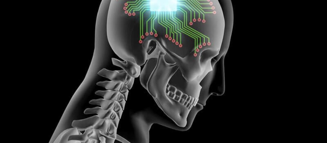 brain-4-6-18-2.png.jpg