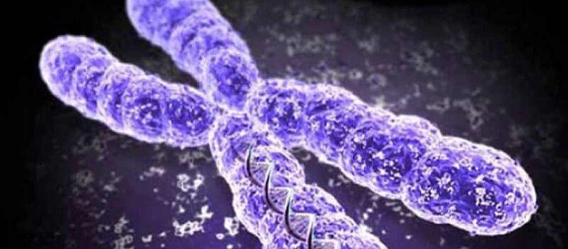 chromosomes-8-6-18.jpg