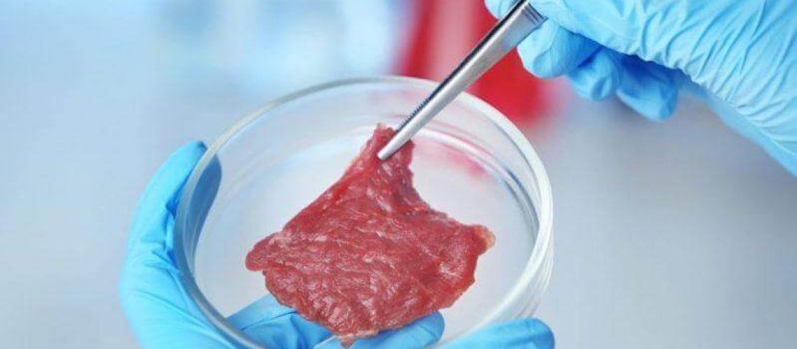 clean_meat_cropped_and_resized.jpg