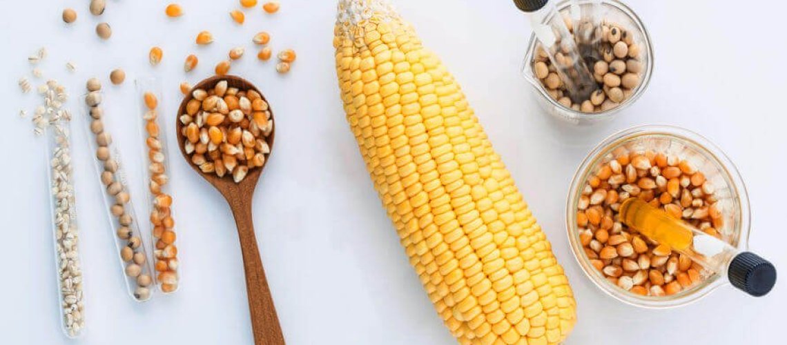 corn-comparison-x-.jpg