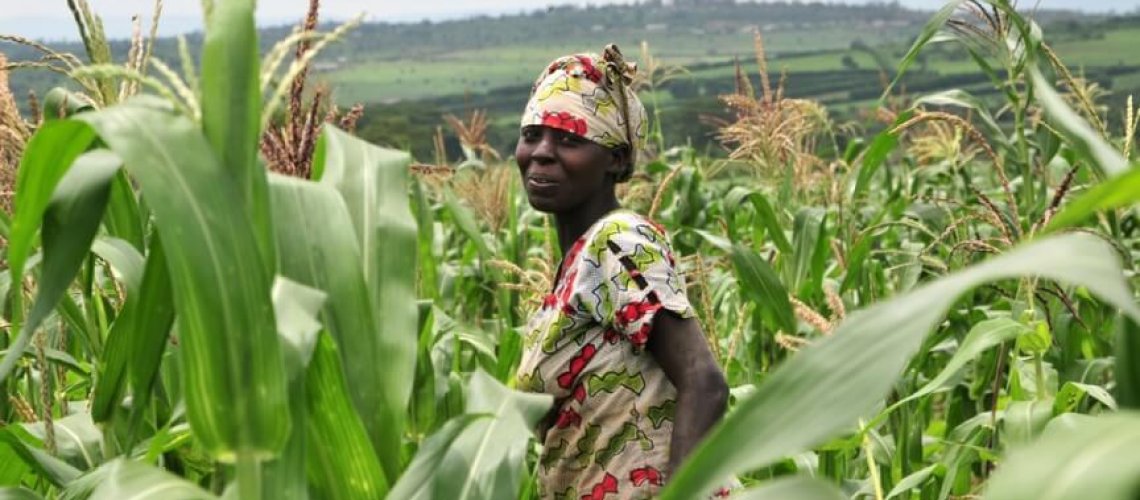 corn-in-kenya.jpg