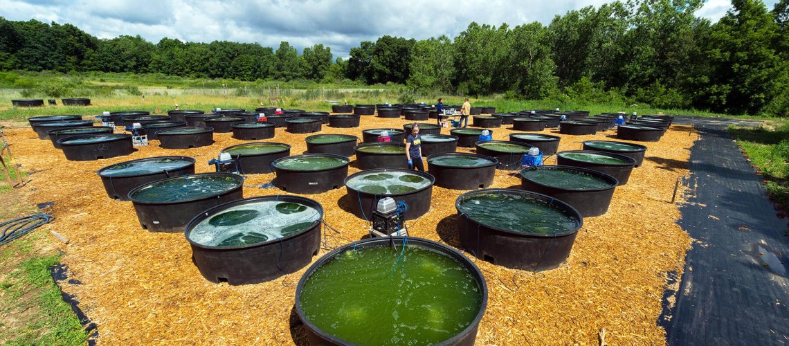daryl-marshke-michigan-photography-algal-biofuel-.jpg