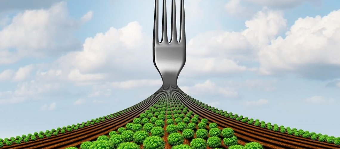dreamstime-farm-to-fork-supply-chain.jpg