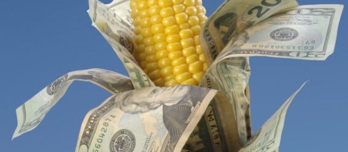 ethanol-corn-money-cash-547x847.jpg