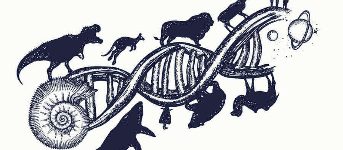 evolution-species-natural-selection-221210617.jpg