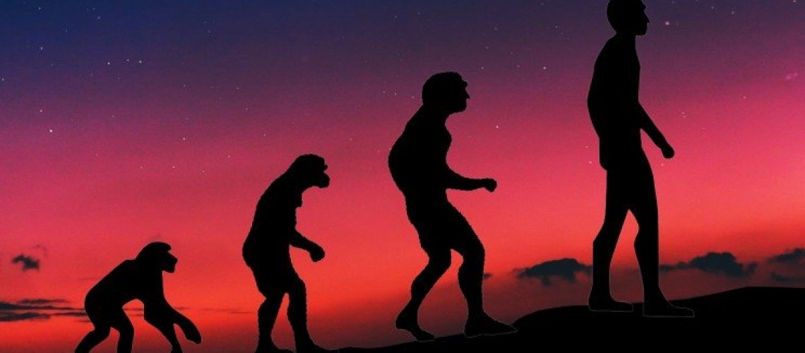 evolutionmain-resize-md.jpg