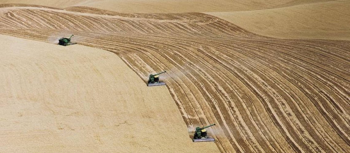 fa-industrial-monoculture-aerial-large.jpg