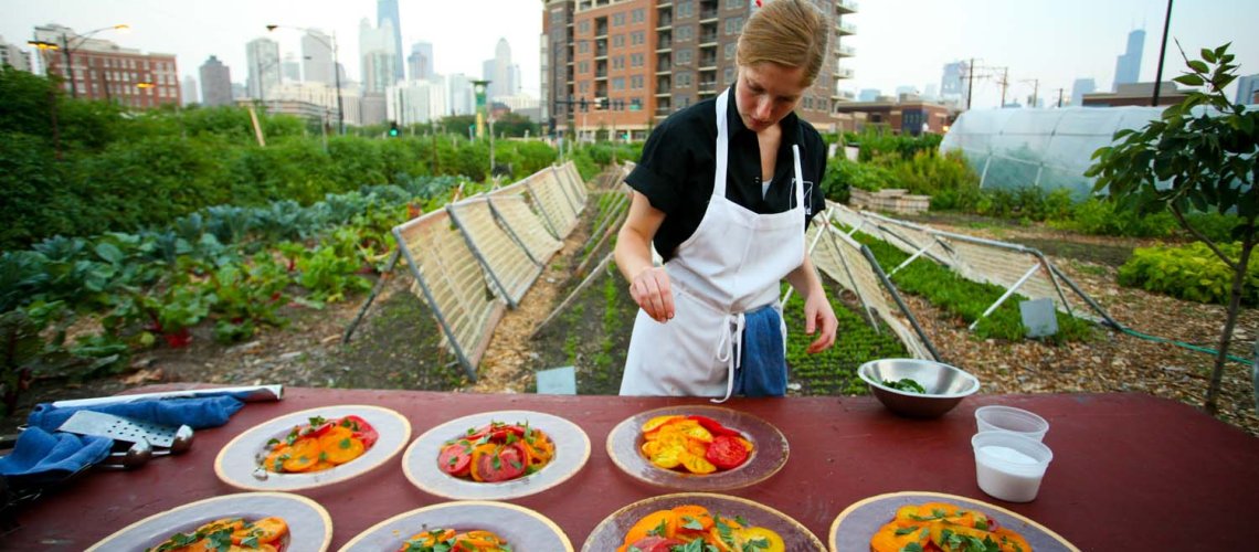 farm-table2.jpg