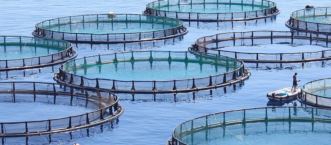 fish-farms.jpg