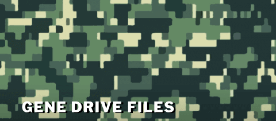 gdf.png