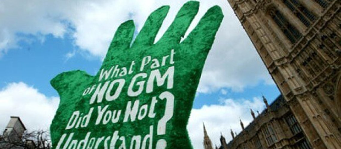 gm-crops-europe-x-.jpg