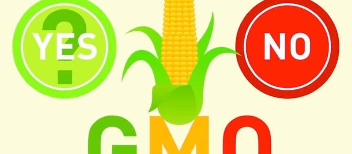 gmo-.jpg