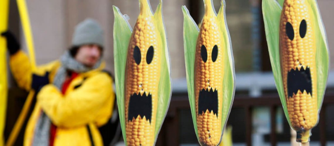gmo-11-15-18-1.png-1024x691.jpg