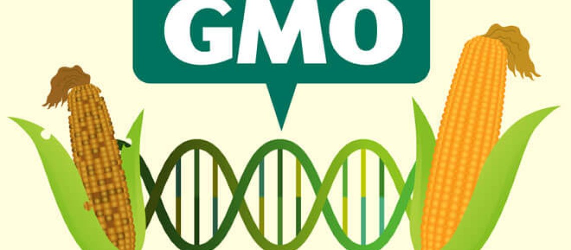 gmo-label.jpg