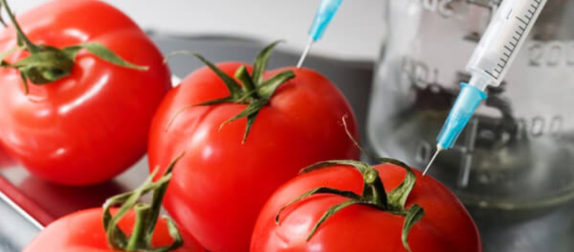 gmo-tom.jpg