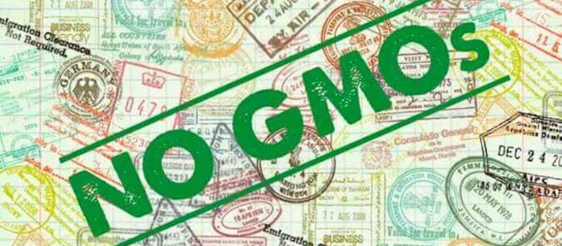 gmos-in-the-eu-.jpg