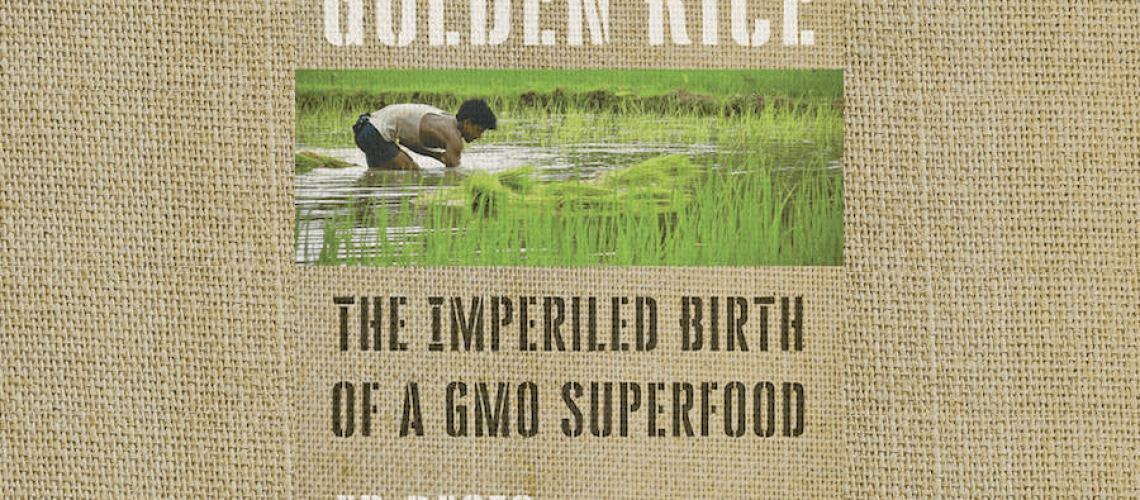 golden-rice-crop.png