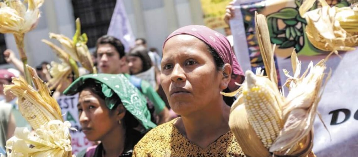 guatemala-protest-ley-monsanto-hoy-ni.jpg