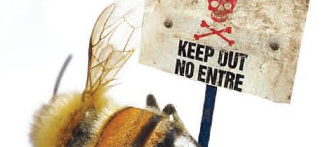 honey-featured-image.jpg