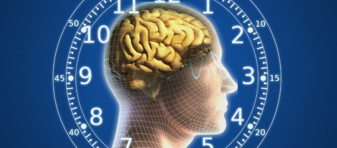 human-brain-body-clock-wallpaper.jpg