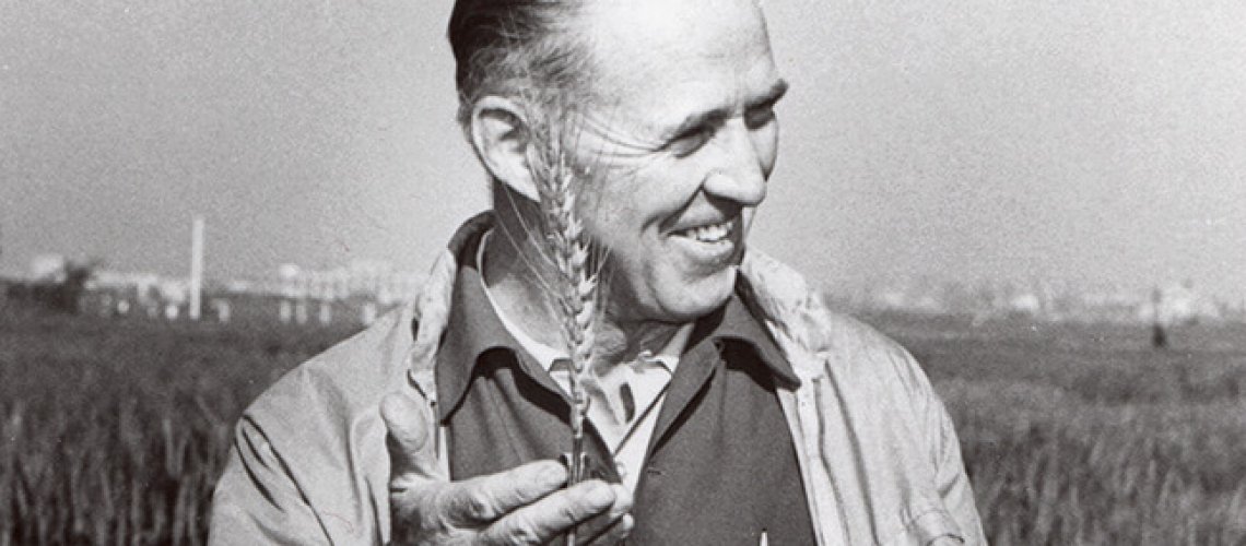 hunger-borlaug-x-.jpg