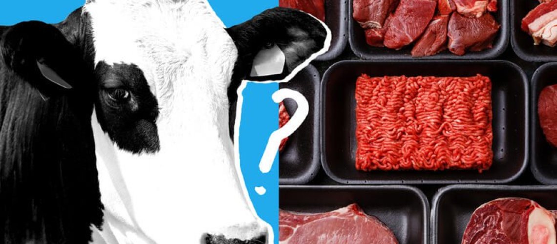 lab-meat22222786.jpeg