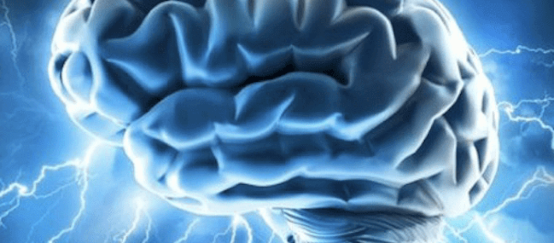 large-brain-electrical.png