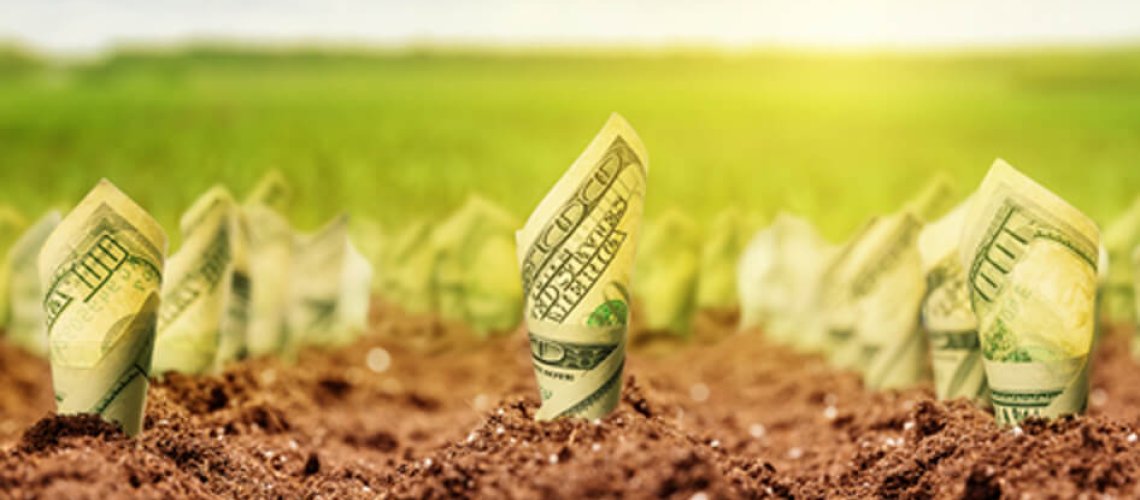 money-growing-from-the-ground-Newsletter.jpg