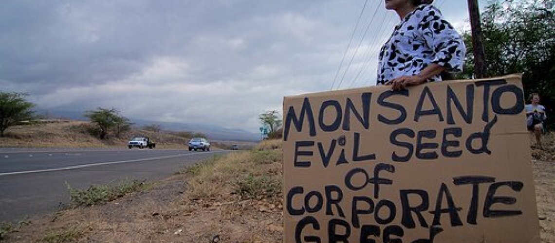 monsanto-evil-seed-ianmackenz.jpg