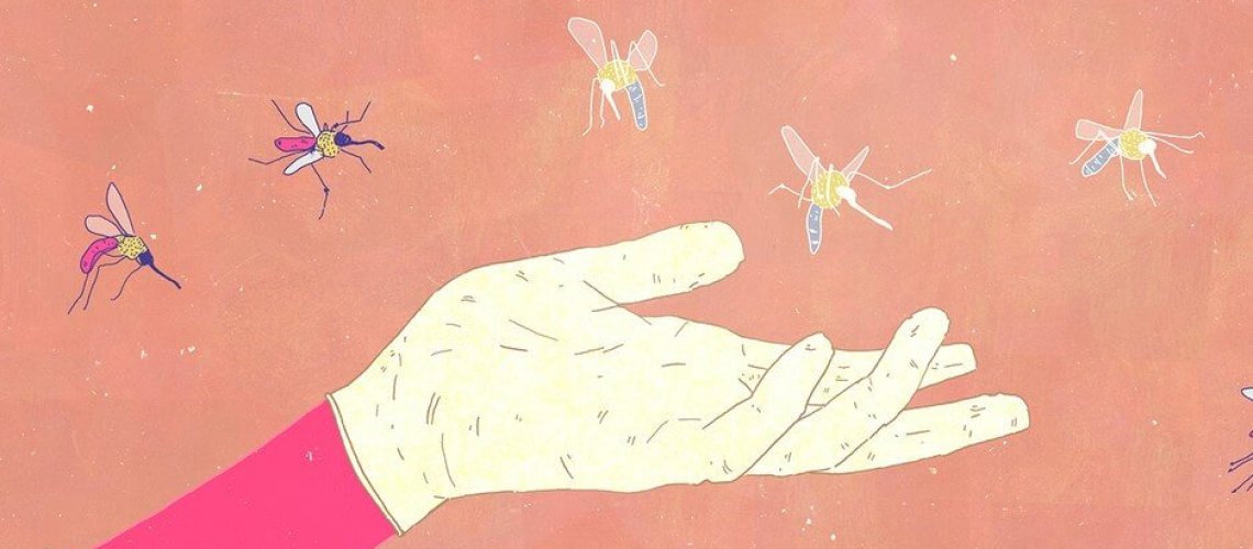 mosquito-genes_wide-599c983f306265f67ba08e0e9adb2d62f6d00473.jpg